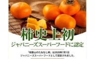 ボリューム満点！高品質　たねなし柿　約7.5kg（32～36個）｜柿 たねなし 先行予約 果物 フルーツ