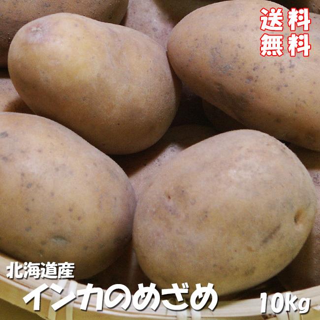 インカのめざめ まとめ買い 10kg (サイズ無選別) 栗の様な甘いじゃがいも インカの目覚め※只今発送中