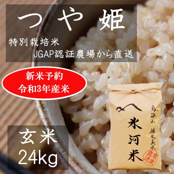 SALE／102%OFF】 山形県庄内産 雪若丸 玄米25kg Ｇセレクション 特別