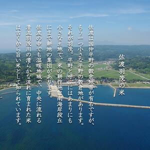 ふるさと納税 佐渡 羽茂産コシヒカリ 佐渡の幻米 白米 10kg 特選限定米 新潟県佐渡市