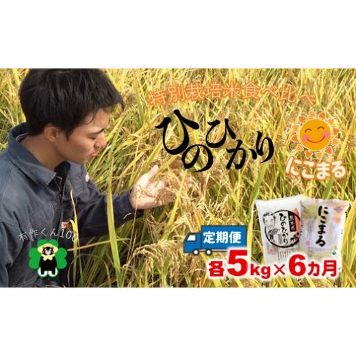 ふるさと納税 熊本県 玉名市 「ひのひかり」「にこまる」食べ比べセット（各5kg×6ヶ月定期）