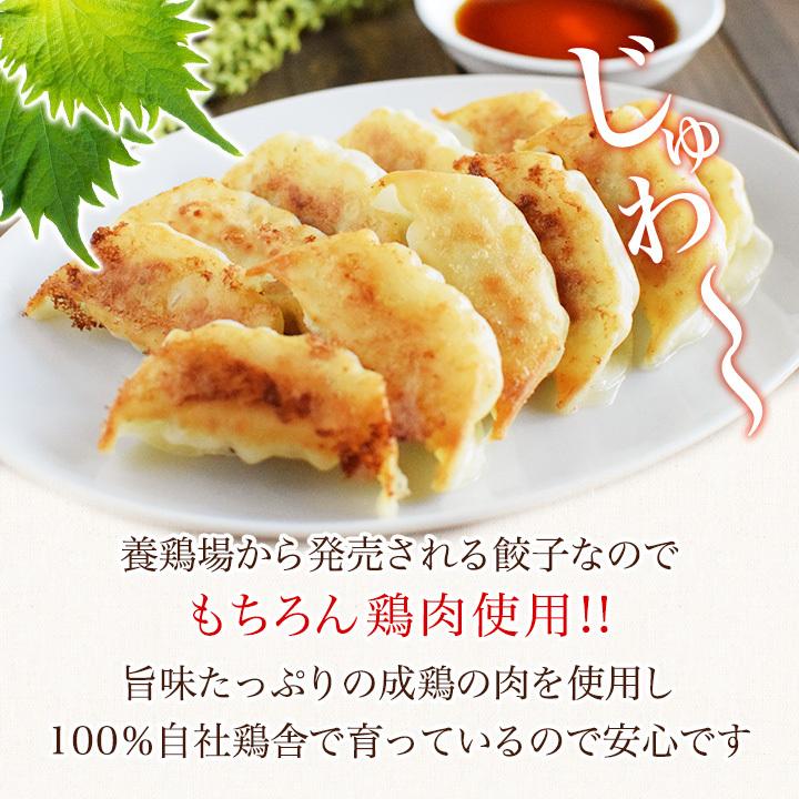 鶏しそ餃子 60個入り(30個入り×2袋) 冷凍餃子 餃子 送料無料 お試し 生餃子 冷凍生餃子 食品 惣菜 中華 鶏肉