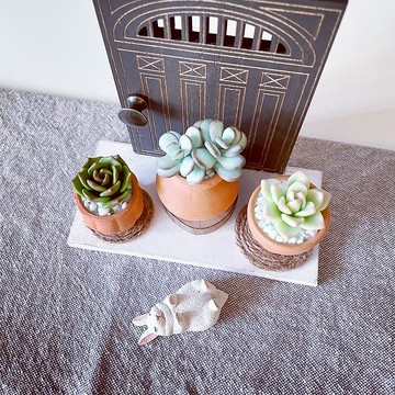 接單製作款 多肉小花園 古典風門板掛飾。仿真黏土多肉植物