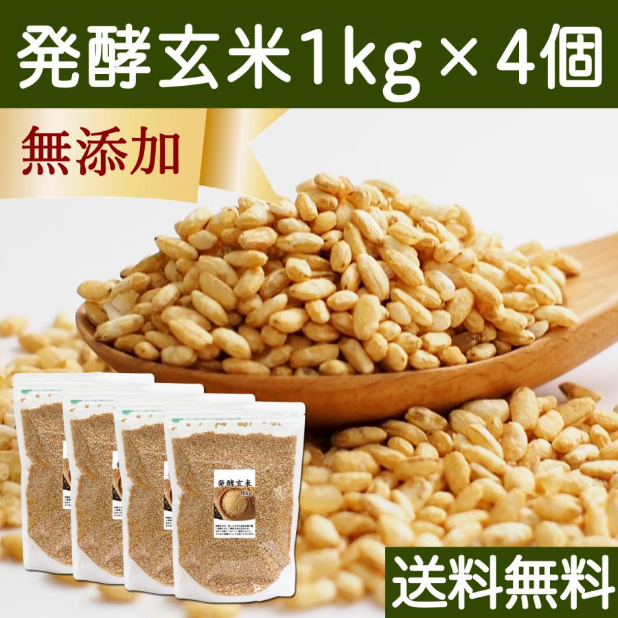 発酵玄米 1kg×4個 酵素玄米 寝かせ玄米 酵素ご飯 炊飯器で手軽に 送料無料