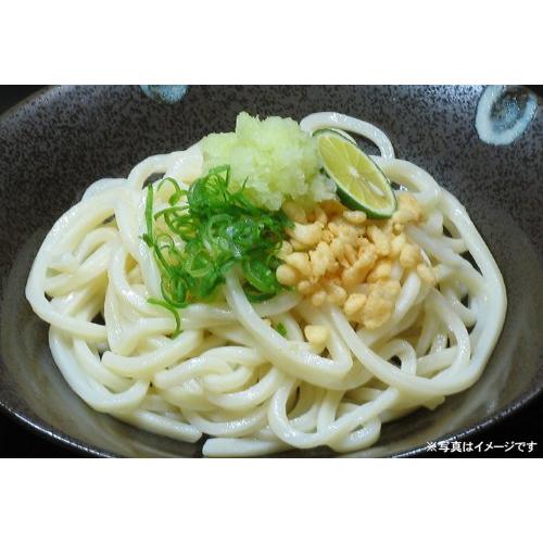 さぬきぶっかけうどん GNB50