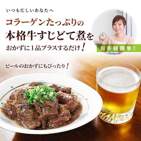 牛すじ どて煮 国産 牛すじ煮込み レトルト 博多 屋台風 コラーゲン 常温保存  送料無料 125g×30パック