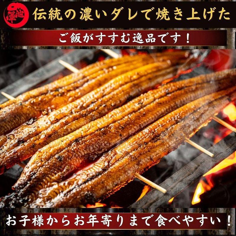 四万十川産 うなぎ 蒲焼き 無投薬 約150g×1尾 池澤鮮魚 誕生日 国産 (贈答用ギフト包装)