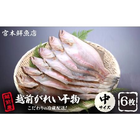 ふるさと納税 越前産 赤かれい 干物（6枚入り）産地直送！こだわり一夜干し 調理しやすい 中サイズ 【赤カレイ 無添加 ひもの 人気 お取り寄せ .. 福井県越前町