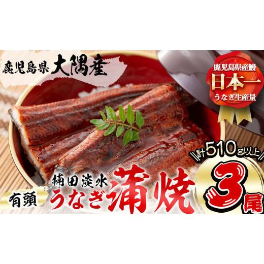 ふるさと納税 鹿児島県 志布志市 楠田の極うなぎ 蒲焼き170g以上×3尾(510g以上) b2-010