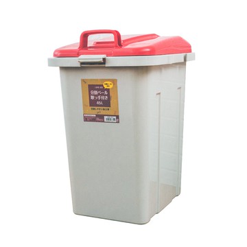 【dayneeds】緋紅之星45L大容量收納筒_雙入