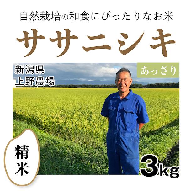 精米3kg「自然栽培ササニシキ」(新潟県)上野農場　令和5年産