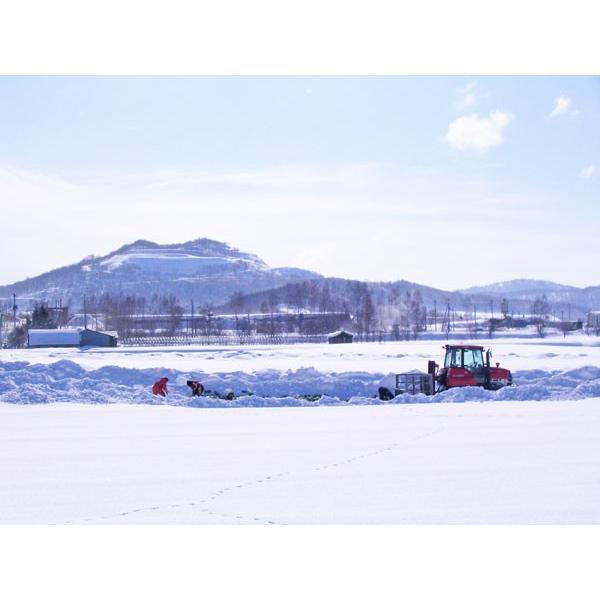 越冬雪の下キャベツ2玉＆玉ねぎ2Kgセット  北海道産  出荷時期：12〜3月