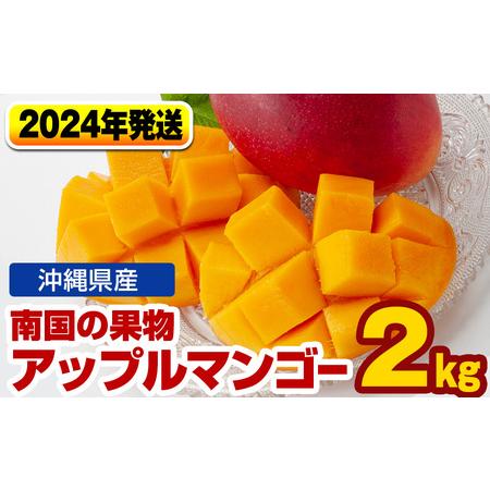 ふるさと納税 南国の果物　沖縄県産アップルマンゴー　2kg 沖縄県南風原町