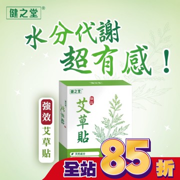 健之堂强效艾草貼10片