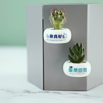 【友你真好VS畢業快樂】迷你磁鐵盆栽(單入)畢業禮物/送禮/客製