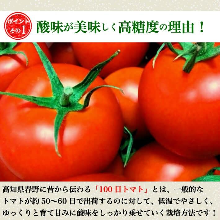 ＼12月中旬発送予約／ トマト フルーツトマト 高知県産 高濃度 ミニトマト 約2kg 高級 訳あり ギフト