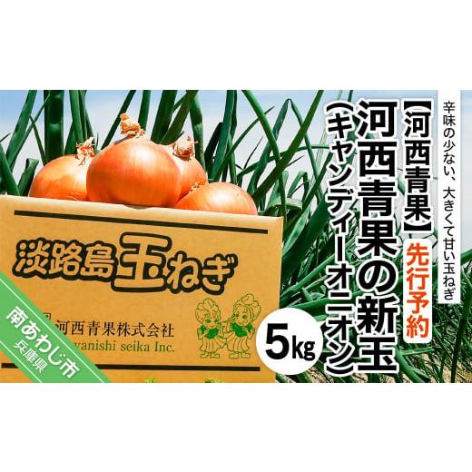 ふるさと納税 兵庫県 南あわじ市 河西青果の新玉（キャンディーオニオン）５kg　◆配送５月初旬〜６月末