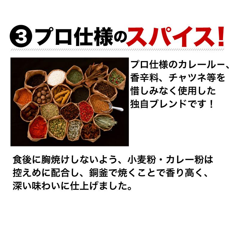 極旨牛すじカレー 10食 九州産黒毛和牛 A等級牛すじ使用 本格カレールー 自然素材 独自ブレンド 湯煎 簡単調理 時短 送料無料 常温便