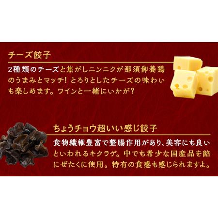 ふるさと納税 『定期便』宇都宮餃子　スタミナ餃子　保存料不使用　全12回 栃木県宇都宮市