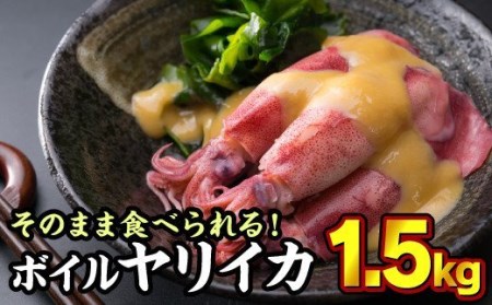 ボイルヤリイカ 約１.５kg（300g × ５袋）セット（到着日時指定必須商品）小分け 三重県尾鷲市 人気 大満足 返礼品  MT-9