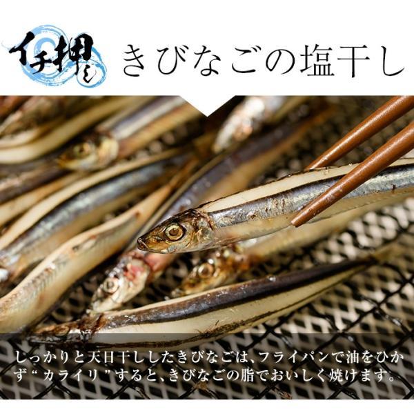 ギフト 甑島の干物詰め合わせA 国産 訳あり こしき島 鹿児島産 干物セット 塩干 塩干し 新鮮な干物 おつまみ ギフト キビナゴ アジ カマス 贈り物 お土産