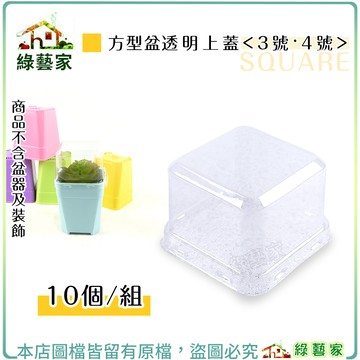 方型盆透明上蓋 - 3號、4號 10個/組(共2種尺寸)保濕.保溫.育苗.敷牙.扦插.透明上蓋,上蓋【綠藝家】