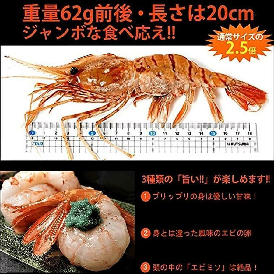 ボタンエビ ボタン海老 特大 牡丹海老  特大 えび 刺身用  500g 8尾前後