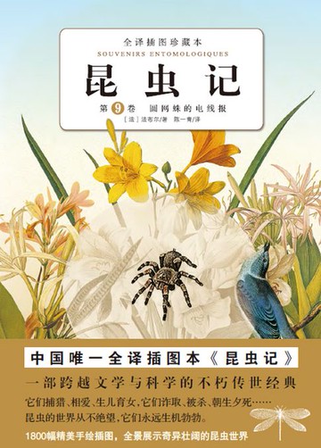 【電子書】昆虫记：圆网蛛的电线报（第9卷）