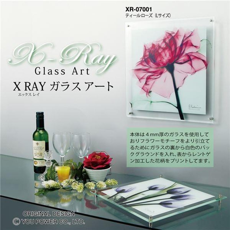 ユーパワー X RAY ガラス アート 「グリーン ユーカリ」 Mサイズ XR