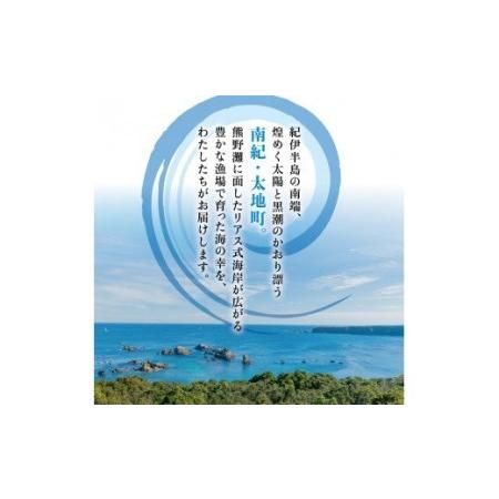 ふるさと納税 干物セット 大容量でアジ さんま カマスが届く 定番干物24枚セット ひもの 詰め合わせ 干物 さんま サンマ アジ あじ カマス か.. 和歌山県太地町