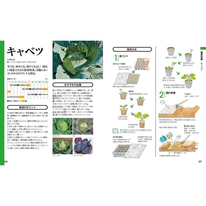 決定版 野菜づくり大百科