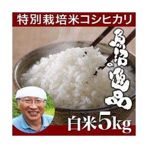 魚沼産 コシヒカリ 魚沼の逸品 5kg　新潟県産　ギフト　贈り物　贈答品　内祝い　のし無料　特別栽培（生産者佐藤）