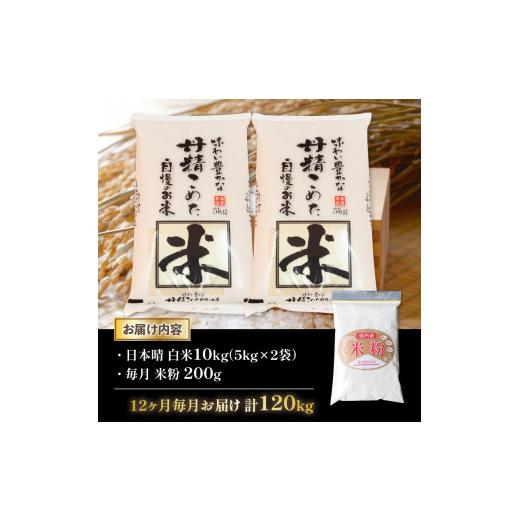 ふるさと納税 滋賀県 竜王町 令和5年産 日本晴 10kg 全12回 近江米 新米 米粉 200g付