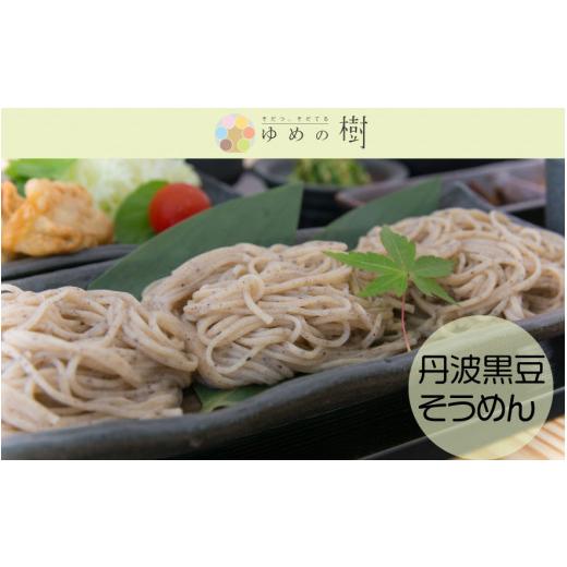 ふるさと納税 兵庫県 丹波市 丹波黒豆そうめん