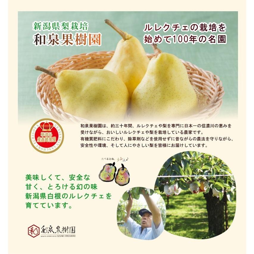 フルーツ 梨 和梨 新興 新潟県白根 梨栽培農家 和泉果樹園 有機質肥料栽培 新興梨 10kg (14個〜20個） 家庭用梨 送料無料