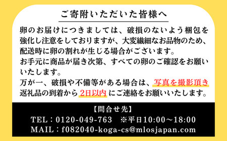 AG13_江原ファーム　体に優しい地養卵（30個） ※着日指定不可