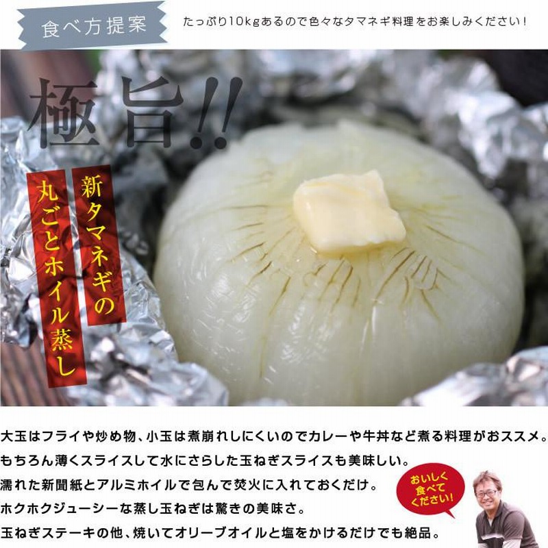 新玉ねぎ 千葉県 白子町産 10kg 訳あり 産地直送 古山商店 送料