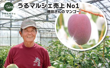 徳田さんの最高級贈答用マンゴー　中玉3個　　アップルマンゴー　贈答用　最高級　美しい　美味　沖縄県産
