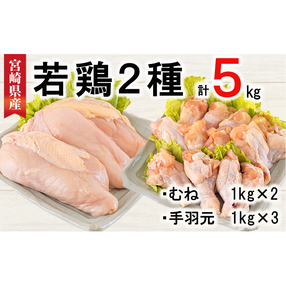 宮崎県産 若鶏 むね 手羽元 合計5kg 1kg包装 小分け 鶏肉 冷凍 送料無料 炒め物 煮込み 調理 料理 大容量 真空 胸 あっさり ヘルシー 唐揚げ からあげ チキン南蛮 照り焼き 甘辛煮 と