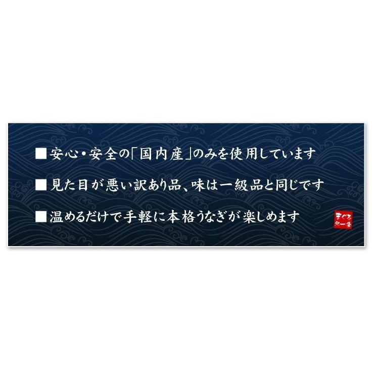 うなぎ ウナギ 国産 蒲焼き1kg 訳あり メガ盛り《eel-ue3》〈ue1〉yd5[[訳ありウナギ蒲焼き500g-2p]