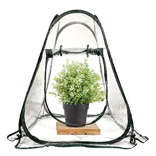 Pratico Outdoors Pop Up Mini Greenhouse with Clear PVC Plant Cover, 31 x 28