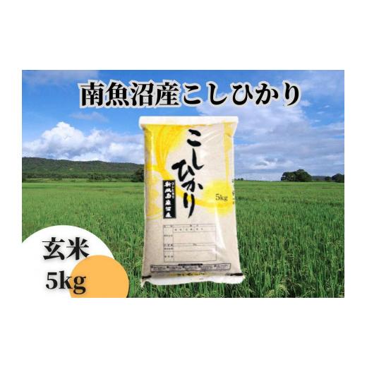 ふるさと納税 新潟県 南魚沼市 中南魚沼産こしひかり 玄米5ｋｇ