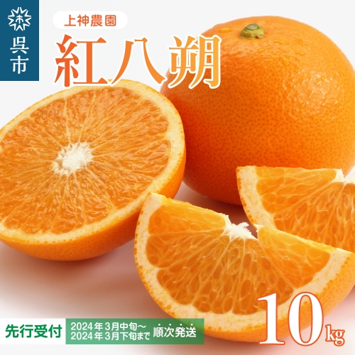 上神農園の紅八朔 約10kg