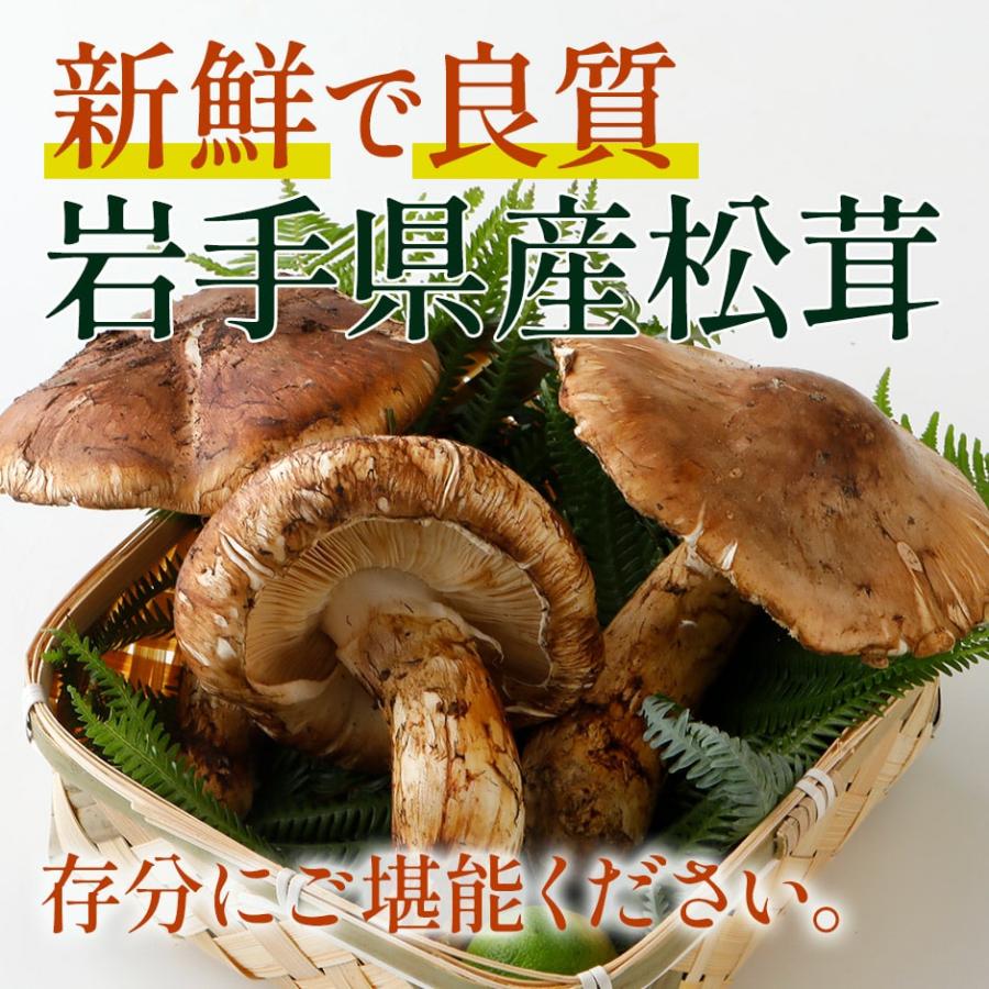 2024年分予約 国産 松茸 約500g 詰め合わせ  まつたけ マツタケ つぼみ 大 中 小 開き 岩手 SSS