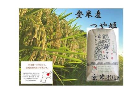 宮城県登米市産つや姫玄米　３０kg