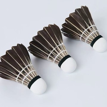✅【🎾競技羽球精選】黑色羽毛球正品 訓練比賽用球 超耐打室外12只裝 穩定飛行設計 學生成人鵝毛球  台灣出貨 122