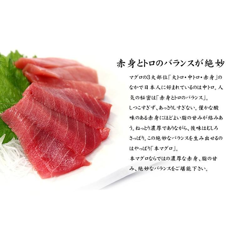 ※12 11〜12 30お届け限定 本マグロ中トロ1kg！送料無料 解凍レシピ付 マグロ刺身《pbt-bf14》〈bf1〉yd9[[本鮪中トロセット1kg]