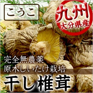 干ししいたけ 干し椎茸 大分県産 こうこ 80g 乾燥野菜 乾燥椎茸