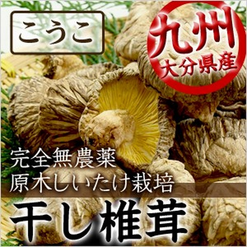 乾燥しいたけ シイタケ 椎茸 九州産 天然 乾燥野菜 乾燥椎茸 こうこ 80g 通販 Lineポイント最大1 0 Get Lineショッピング