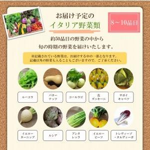 ふるさと納税 かほくイタリア野菜 旬のおまかせBOX（8〜10種類） 山形県河北町